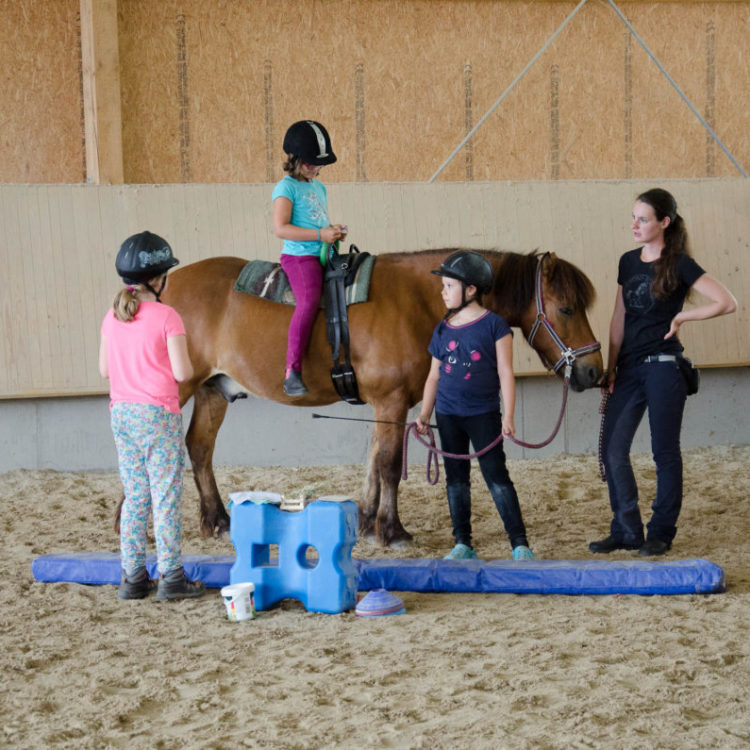 Konzentrationstraining mit Ponys für Grundschulkinder