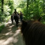Ponyworkshop "Herbstspaziergang" - 5 - 9 Jahre - ausgebucht
