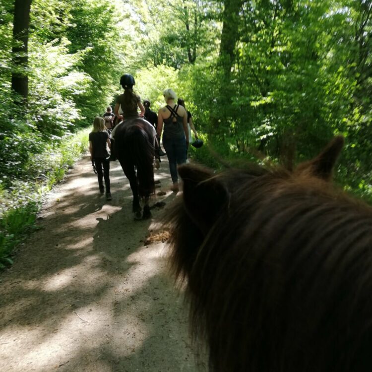 Ponyworkshop "Lustige Baumgeister und andere Waldbewohner- mit den Ponys durch den Herbstwald" - 5-9 Jahre - ausgebucht