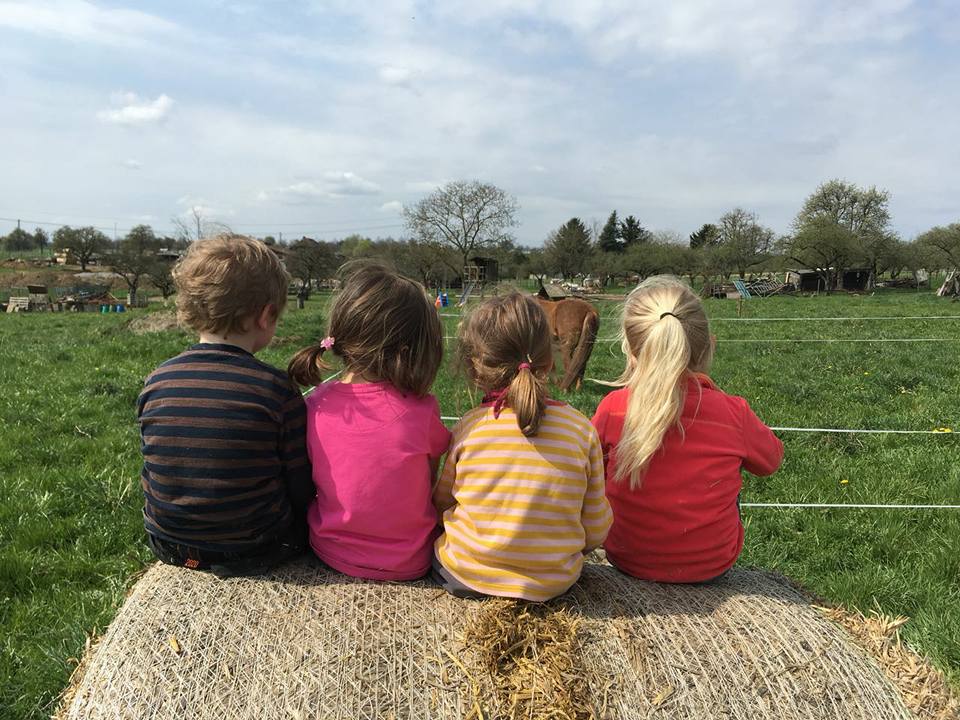 Vier Kinder sitzen von hinten nebeneinander auf einem Strohballen und blicken über eine Weide zu einem Pony.